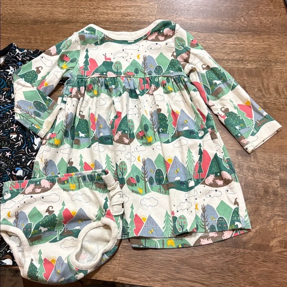 2 Hanna Andersson Dresses. 2T. Cotton. Very good condition.